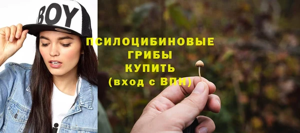 PSILOCYBIN Снежногорск