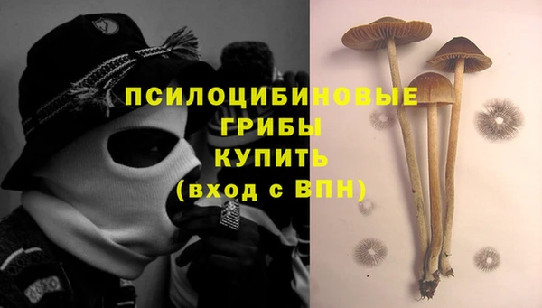стафф Белокуриха