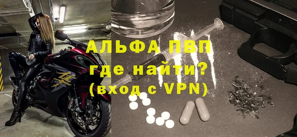 PSILOCYBIN Снежногорск